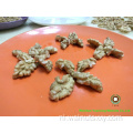 Kids 'Favoriete snack Chinese walnootpitten